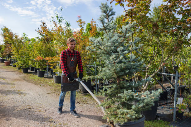 Best Tree Branch Trimming  in Shippensburg, PA